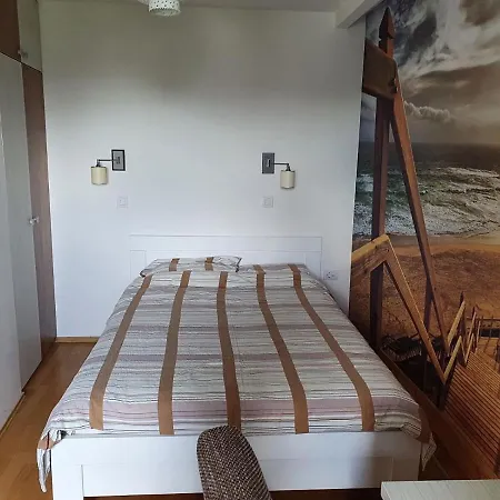 Alo Alo 6 * Kruševac