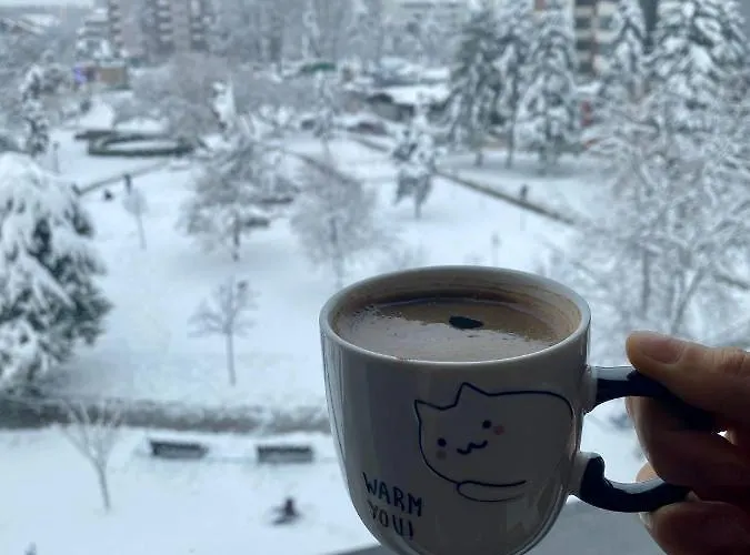 아파트 Alo Alo 6 쿠르셰바츠