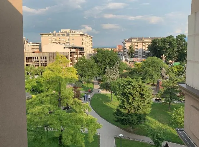 Alo Alo 6 쿠르셰바츠